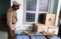 Quảng Bình: Thu giữ 75.000 khẩu trang y tế không rõ nguồn gốc xuất xứ