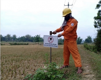 Bình Định: Tình trạng thả diều gây mất an toàn lưới điện