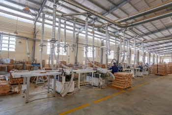 Bình Định: Cải tạo cụm công nghiệp để thu hút đầu tư