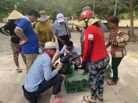 “Nóng” tình trạng săn, bắt chim Yến gây thiệt hại kinh tế cho người nuôi