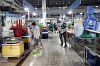 Quảng Nam: Triển khai công tác kiểm tra, hậu kiểm về an toàn thực phẩm năm 2020