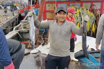 Những chuyến tàu “no cá” chở đầy niềm vui của ngư dân miền Trung