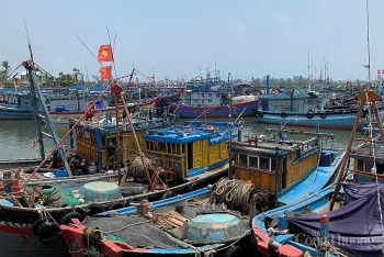 Quảng Ngãi: Đẩy mạnh chống khai thác hải sản bất hợp pháp, không báo cáo
