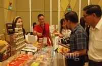 Thúc đẩy giao thương Đà Nẵng – Thái Lan trong lĩnh vực dịch vụ - du lịch