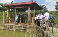 Đà Nẵng lên phương án chủ động nguồn nước, không lệ thuộc vào thủy điện