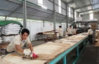 Chính sách hỗ trợ giảm giá điện đã tạo động lực cho doanh nghiệp khôi phục nhanh sau Covid-19