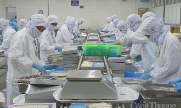 Kỳ vọng khôi phục kim ngạch xuất khẩu thủy sản sang EU từ EVFTA