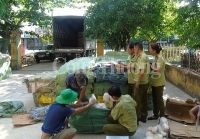 Quản lý thị trường Quảng Nam: Kiểm soát có hiệu quả an toàn thực phẩm