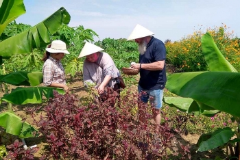 Quảng Nam: Ứng dụng công nghệ để vực dậy du lịch sau Covid – 19