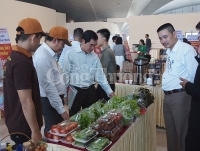 Hội nghị kết nối cung cầu Đà Nẵng: Ký kết hợp tác hàng trăm tỷ đồng