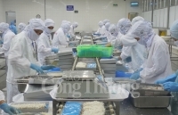 Đà Nẵng: Đẩy mạnh thông tin các cam kết trong EVFTA đến doanh nghiệp