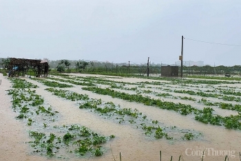 Đà Nẵng: Triển khai các biện pháp cấp bách ứng phó với “bão chồng lũ”