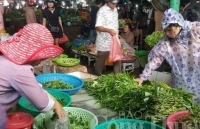 Đà Nẵng: Mưa lớn kéo dài, giá rau xanh “leo thang”