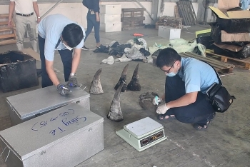 Việt Nam đang nỗ lực ngăn chặn buôn bán động vật hoang dã