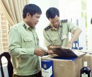 Đà Nẵng: Lễ phát động Ngày Quyền của người tiêu dùng Việt Nam 2018