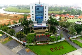 BIDV Quảng Bình đồng hành cùng sự phát triển của quê hương