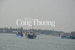 Quảng Ngãi: Cứu kịp thời 31 ngư dân trên tàu câu mực bị chìm