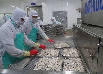 Cà Mau: Hỗ trợ giải quyết việc làm, đảm bảo an sinh xã hội cho người lao động trong mùa dịch