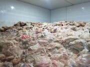 Ban quản lý An toàn thực phẩm Đà Nẵng chính thức đi vào hoạt động