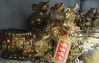 Chuột nến cõng chĩnh vàng 