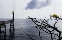 Tập đoàn Dầu khí Việt Nam: Hoàn thành vượt mức kế hoạch ngay tháng đầu năm 2020