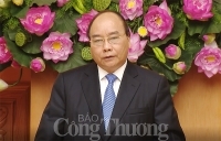Phát huy vai trò xung kích, sáng tạo, bứt phá của đoàn viên, thanh niên
