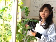 Nông nghiệp thông minh- Hướng đi bền vững