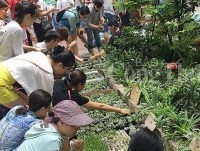 Đổi giấy lấy cây: Lan toả lối sống xanh