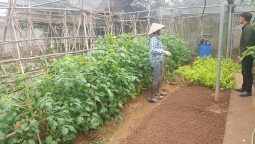 Phân bón hữu cơ - “đầu vào” của một nền nông nghiệp sạch