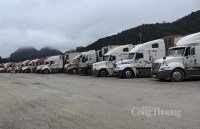 Tiếp tục xuất nhập khẩu hàng hóa qua cửa khẩu phụ ở Lạng Sơn và Quảng Ninh