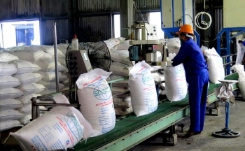 Tin vui ngành mía đường dịp đón Xuân Tân Sửu 2021