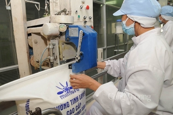 Phòng vệ thương mại đường: Hiệu quả tích cực cho doanh nghiệp và người trồng mía