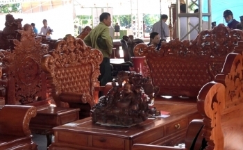 Đảm bảo gỗ hợp pháp trong đấu thầu mua sắm công