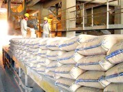 Công nghệ mang lợi thế cạnh tranh cho ngành xi măng