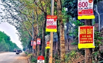 Chặn “sốt” giá đất: Tiếp thu kinh nghiệm quốc tế sửa Luật Đất đai