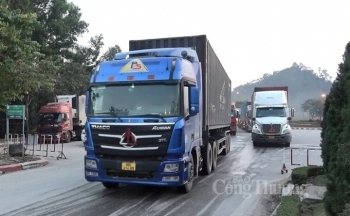Lạng Sơn tạo thuận lợi xuất khẩu nông sản trong đại dịch