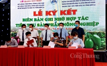 Kết nối tiêu thụ mận Tam Hoa Bắc Hà, vải thiều Bắc Giang và xoài Sơn La tại Lào Cai