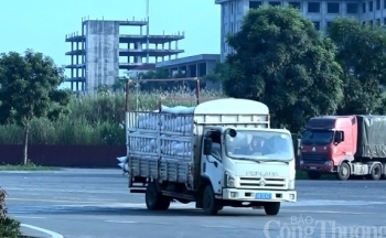 Lào Cai: Xuất khẩu 6 tháng đầu năm 2021 tăng 42,12%