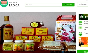Thương mại điện tử Lào Cai: Hướng tới phát triển chuyên nghiệp, hiện đại