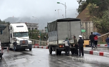 Kịp thời hỗ trợ thông quan hàng hóa nhập khẩu phòng chống dịch Covid-19