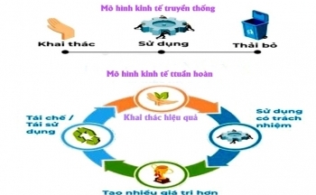 Thúc đẩy kinh tế tuần hoàn để tăng trưởng xanh và bền vững