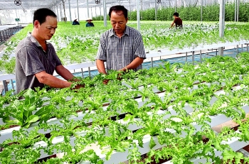 Xác định tiêu chí dự án công nghệ cao rõ ràng, thuận lợi