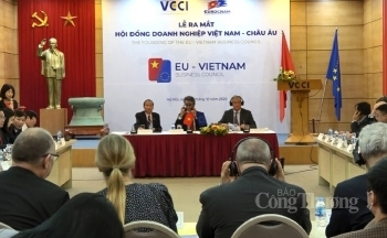 Hội đồng Doanh nghiệp Việt Nam - EU: Hỗ trợ doanh nghiệp tận dụng tối đa cơ hội EVFTA