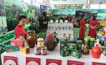 Thương mại Lào Cai 9 tháng 2021: Biến động khó khăn