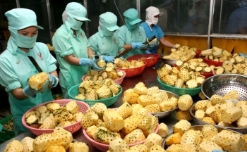 Xuất khẩu nông thủy sản sang Nga: Chủ động tiếp cận