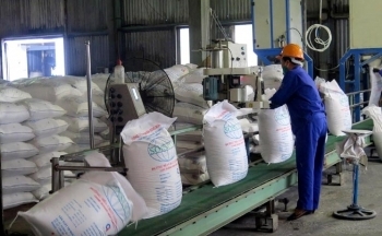 Để mía đường không đắng: Cần cơ cấu lại ngành và từng doanh nghiệp đường