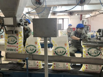 Áp thuế xuất khẩu phân bón 5%: Cẩn thận tác dụng ngược!