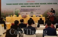Doanh nghiệp đầu tư vào nông nghiệp quá nhỏ và quá bé