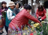 Rộn ràng chợ Tết ông Công, ông Táo