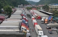 Nông sản ùn ùn kéo lên cửa khẩu, Bộ Công Thương tiếp tục khuyến nghị